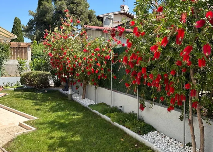 Lejlighed Borik Lea *