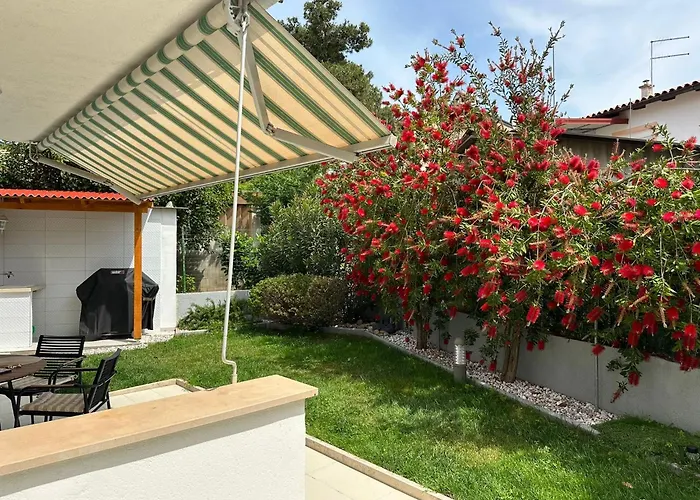 Borik Lea * 로비니