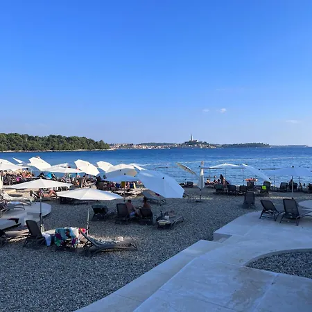 公寓 Borik Lea 罗维尼