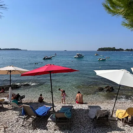 Borik Lea 公寓 罗维尼