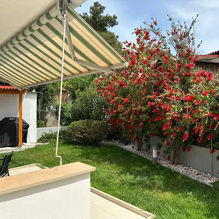 Borik Lea * 罗维尼